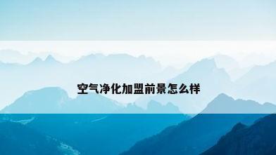 空气净化加盟前景怎么样