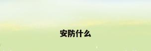 安防什么