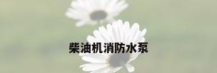 柴油机消防水泵