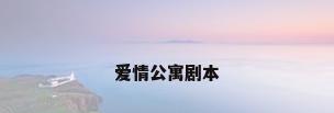 爱情公寓剧本