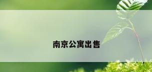 南京公寓出售
