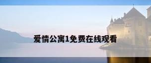 爱情公寓1免费在线观看