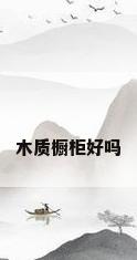 木质橱柜好吗