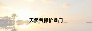 天然气保护阀门