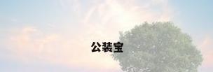 公装宝