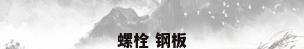螺栓 钢板