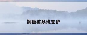 钢板桩基坑支护