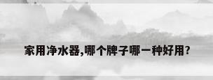 家用净水器,哪个牌子哪一种好用?
