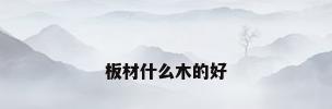 板材什么木的好