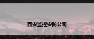 西安监控安防公司