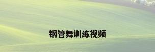 钢管舞训练视频