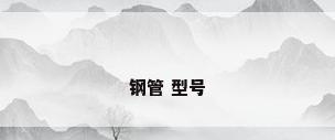 钢管 型号