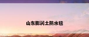 山东膨润土防水毯