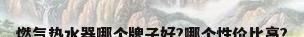 燃气热水器哪个牌子好?哪个性价比高?