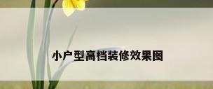小户型高档装修效果图