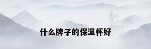 什么牌子的保温杯好