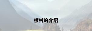 板材的介绍