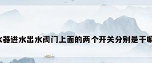 燃气热水器进水出水阀门上面的两个开关分别是干嘛的?如图