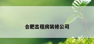 合肥出租房装修公司