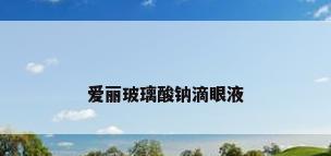 爱丽玻璃酸钠滴眼液