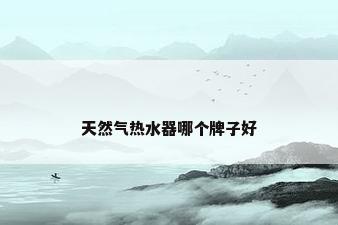 天然气热水器哪个牌子好