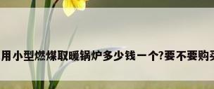 家用小型燃煤取暖锅炉多少钱一个?要不要购买?