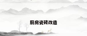厨房瓷砖改造