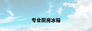专业厨房冰箱