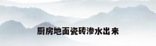 厨房地面瓷砖渗水出来