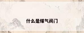 什么是煤气阀门