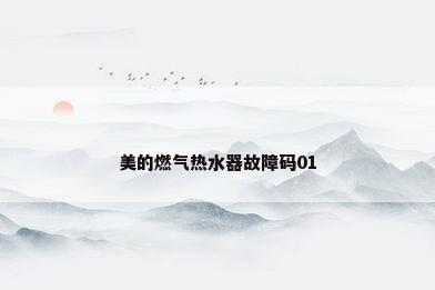 美的燃气热水器故障码01