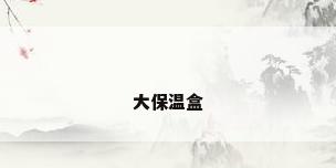 大保温盒