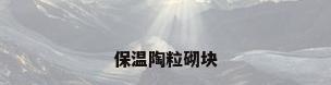 保温陶粒砌块