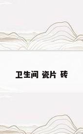 卫生间 瓷片 砖