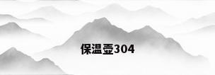 保温壶304