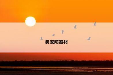 卖安防器材
