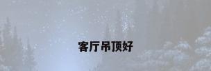 客厅吊顶好