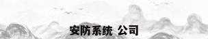安防系统 公司