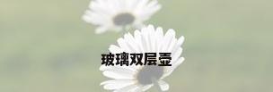 玻璃双层壶