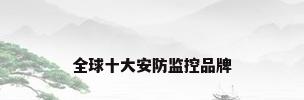 全球十大安防监控品牌