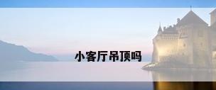 小客厅吊顶吗