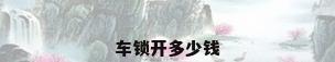 车锁开多少钱