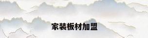 家装板材加盟