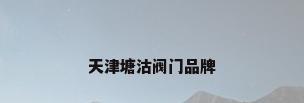 天津塘沽阀门品牌