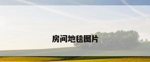 房间地毯图片