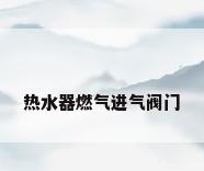 热水器燃气进气阀门