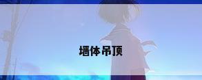 墙体吊顶