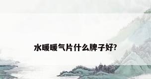 水暖暖气片什么牌子好?
