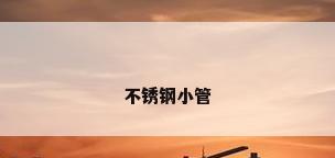 不锈钢小管