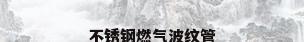 不锈钢燃气波纹管